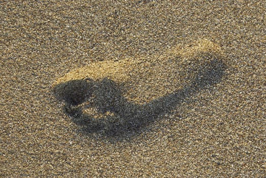 Footprint on the sand. Tropical beach, Mediterranean Sea.