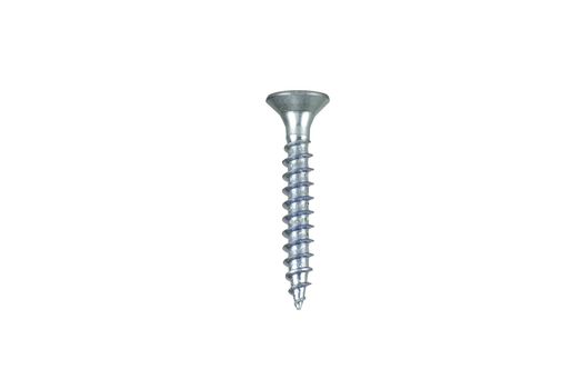 Wood screw isolated on white background with clipping path.