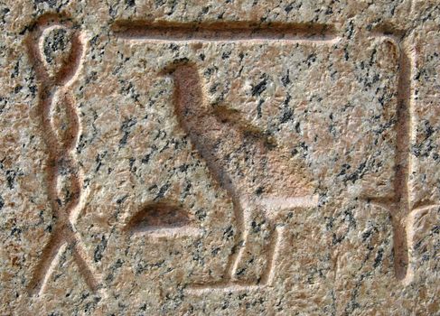 Pharaoh language scribes on marble stone in Cairo. Egypt background.