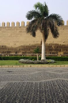 Citadel's wall and palm tree near it. Cairo, Egypt.