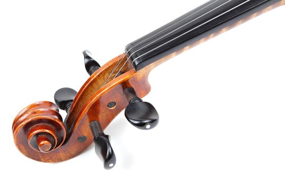 violin head