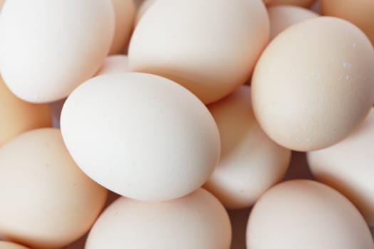 eggs