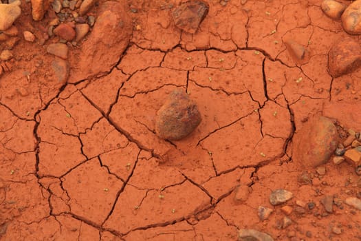 Detail of the cracked soil