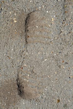 footprint in the ground, taken during the rehabilitation of the road