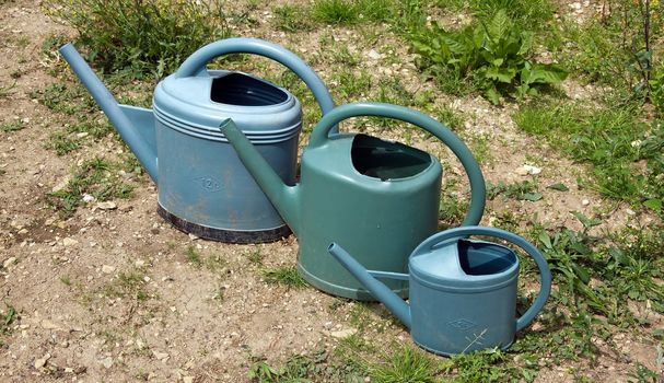 three watering cans are following closely, ready for gardening