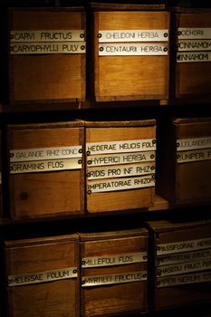 Photo of old boxes in a pharmacy, labelled in Latin. Filled with dried herbs, fruit, flowers and roots, used in medicinal teas.