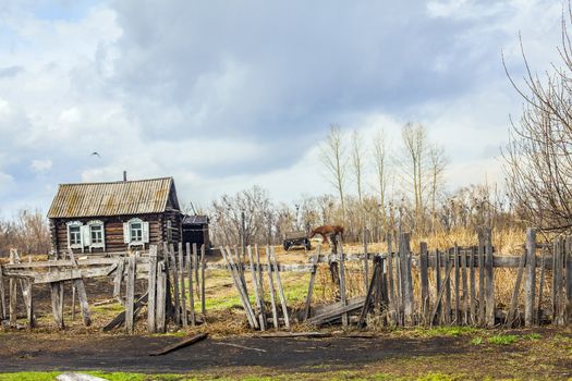 view of the Russian countryside with broken fence, horse and cart home