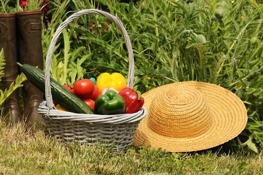 basket of vegetables and in a botanical garden