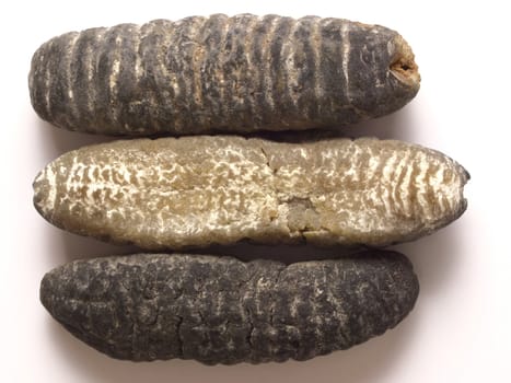 close up of dried sea cucumber