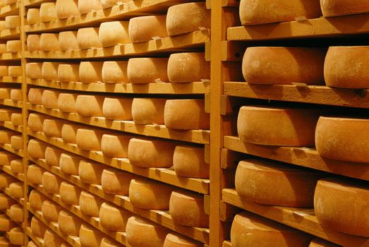 Cheese raclette in refining in a Switzerland cellar