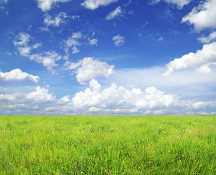 field on a background of the blue sky