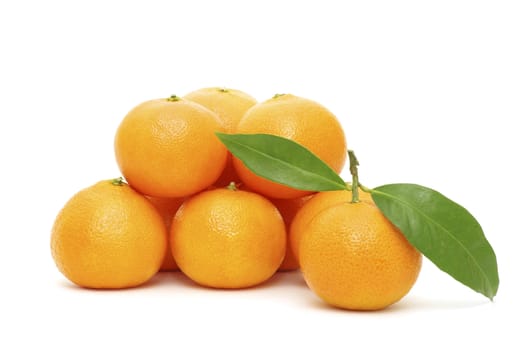 mandarin isolated on a white background