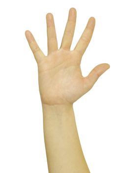 hand gestures isolated on a white 