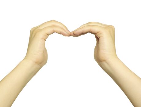 hands isolated on a white background
