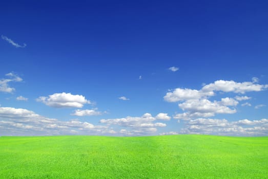 field on a background of the blue sky