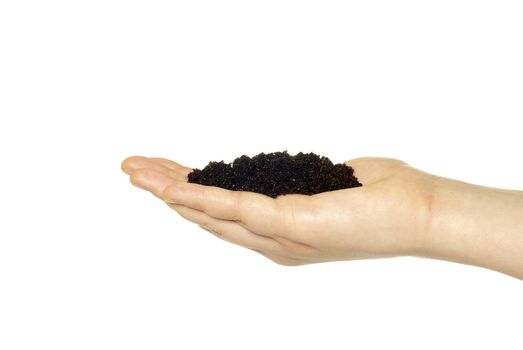 earth in hand isolated on a white background