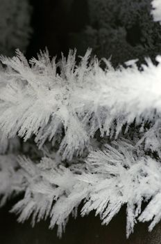 close up of ice crystals forming spiky ornaments