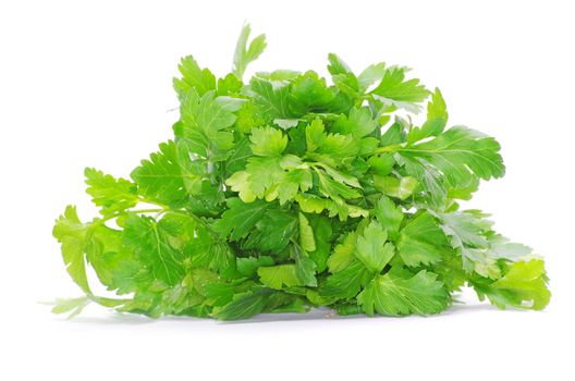 Bunch of fresh green parsley isolated on white background