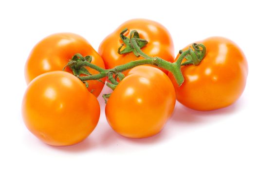  tomato isolated on a white