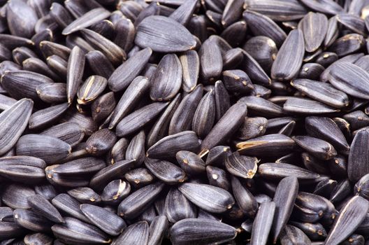 Sunflower seeds for backgrounds or textures