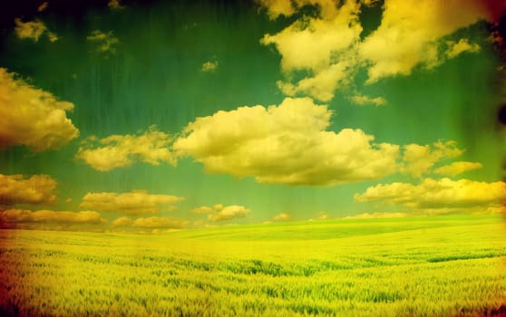 field on a background of the blue sky