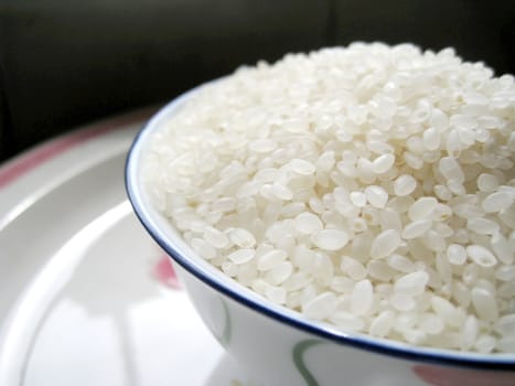 close up for a bowl of rice