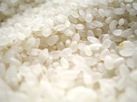 close up for the texture of rice