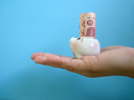 a piggy bank put on a hands, metaphors for banking, finance