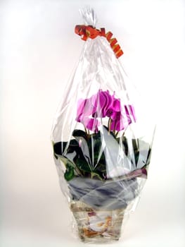 Flower gift