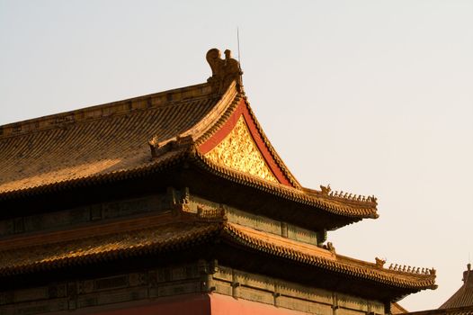 Roofs of the Forbidden City (Beijing - China)