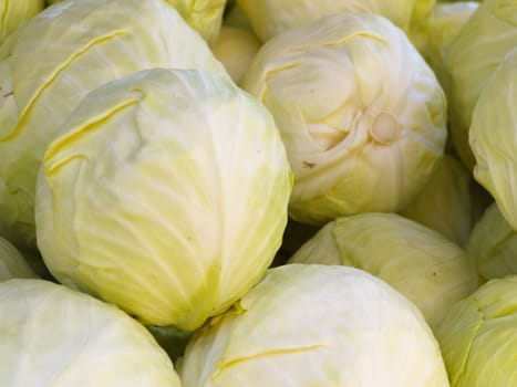 white cabbage