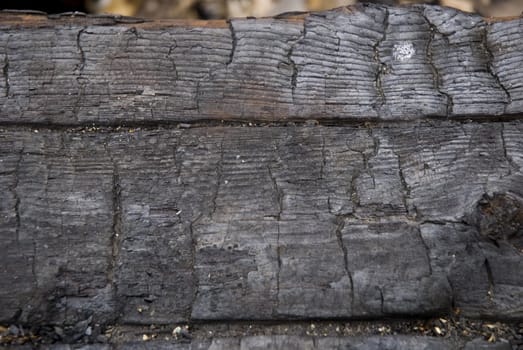 High resolution burnt wood texture. (Oak) 