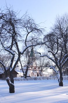 Russia, Moscow, Solar Winter Day in Park Kolomenskoe, Blue Shade from Aple tree under Snow