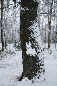 snow hare on the wood in city park