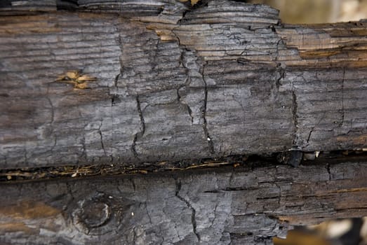 High resolution burnt wood texture. (Oak) 