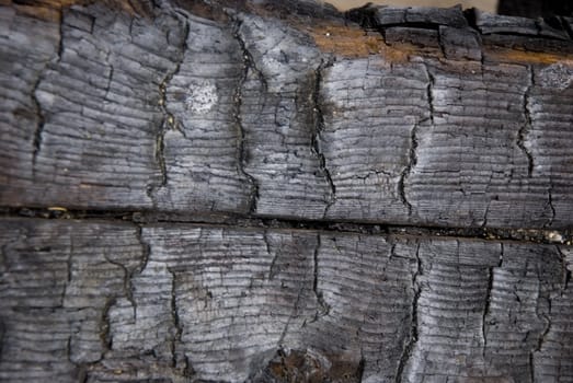 High resolution burnt wood texture. (Oak) 