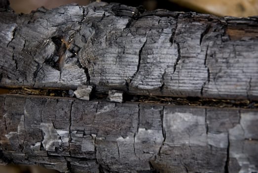 High resolution burnt wood texture. (Oak) 