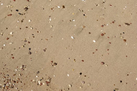 Coastline of Red sea with pebbles and sand as backdrop or background. Egypt, Africa.