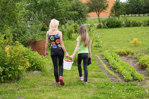 Mother and daughter walk home from the garden with a bucket full of strawberries