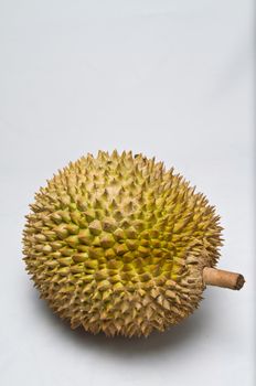 close up shot of an unopened whole durian on white surface in portrait  orientation