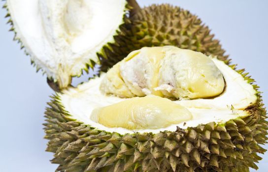 close up view of an opened durian on bluish background in landscape orientation