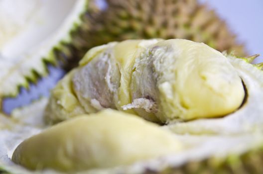 Extreme close up on the durian flesh on its skin in landscape orientation