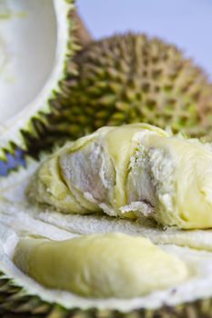 Close up view of an opened durian on bluish background in portrait orientation