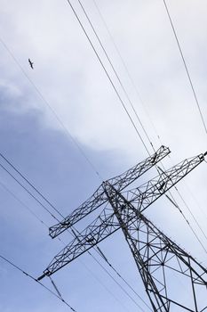 Electric power line with blue sky and gull 