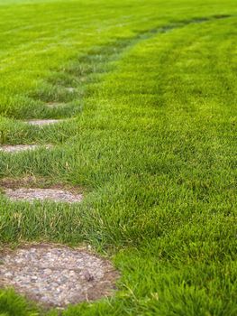 Stone path through a green grassy lawn background
