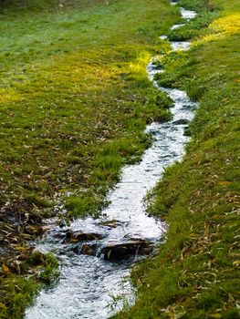 A Small Stream Flows Through a Grassy Green Field