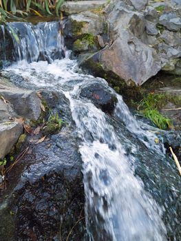 A Small Stream Flowing Over Some Rocks Makes a Waterfall