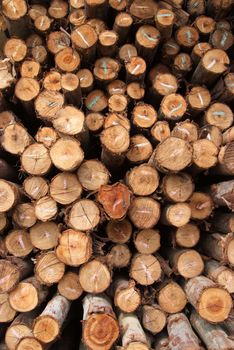 A pile of cut wood for construction ( texture, background, pattren)