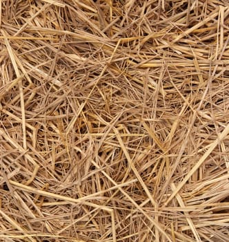 Close up of The natural Straw texture background.