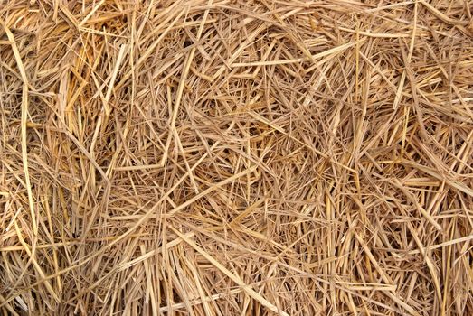 Close up of The natural Straw texture background.